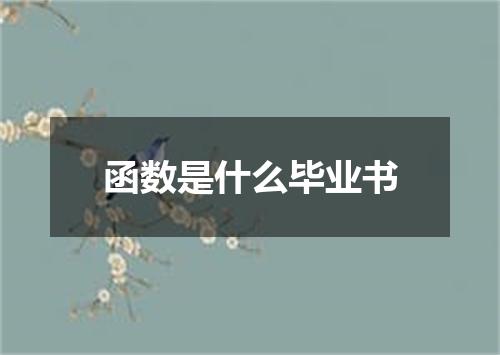 函数是什么毕业书