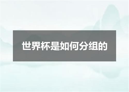 世界杯是如何分组的