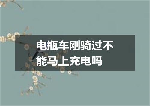 电瓶车刚骑过不能马上充电吗