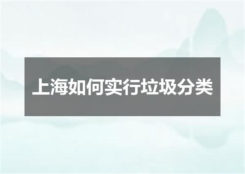 上海如何实行垃圾分类