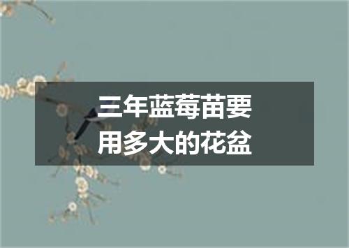 三年蓝莓苗要用多大的花盆