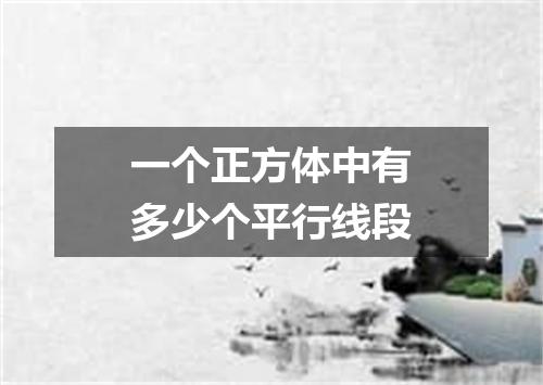 一个正方体中有多少个平行线段