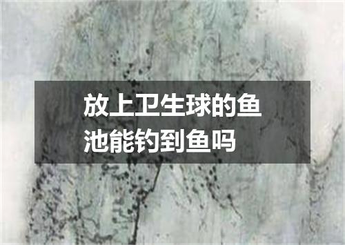 放上卫生球的鱼池能钓到鱼吗