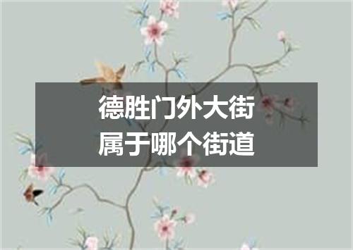 德胜门外大街属于哪个街道