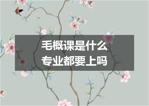 毛概课是什么专业都要上吗