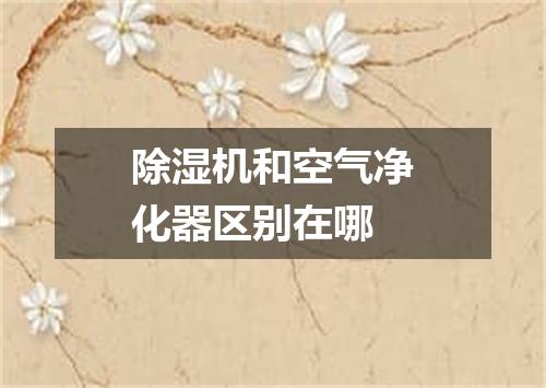 除湿机和空气净化器区别在哪