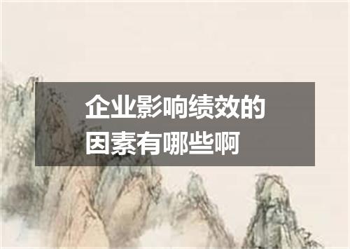 企业影响绩效的因素有哪些啊