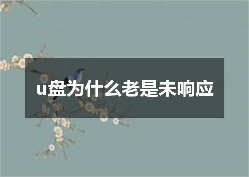 u盘为什么老是未响应