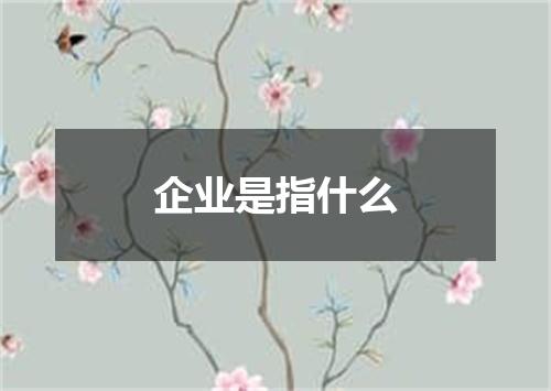 企业是指什么