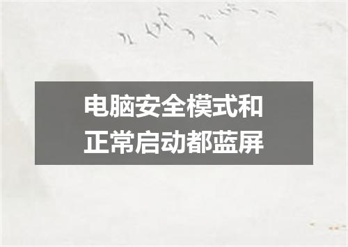 电脑安全模式和正常启动都蓝屏