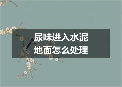 尿味进入水泥地面怎么处理