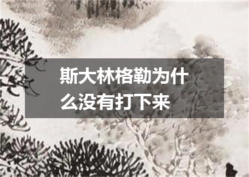 斯大林格勒为什么没有打下来