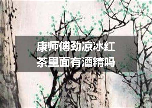 康师傅劲凉冰红茶里面有酒精吗