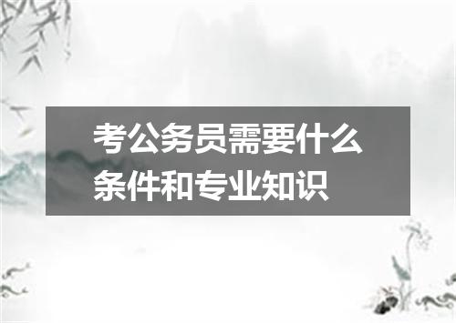 考公务员需要什么条件和专业知识