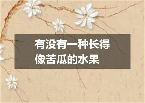 有没有一种长得像苦瓜的水果