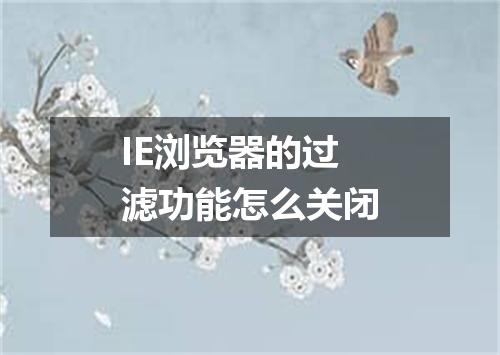 IE浏览器的过滤功能怎么关闭