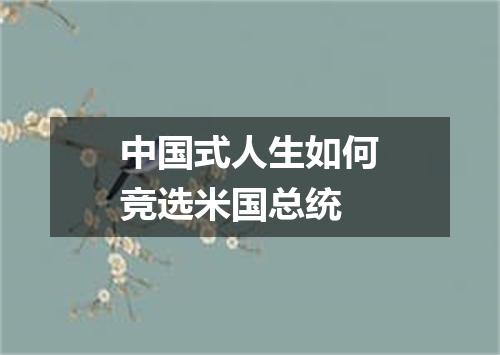 中国式人生如何竞选米国总统