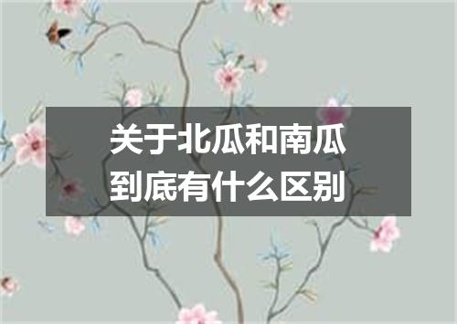 关于北瓜和南瓜到底有什么区别