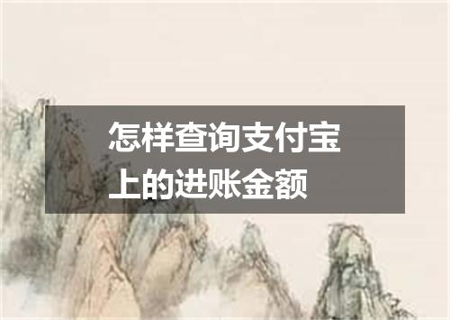 怎样查询支付宝上的进账金额