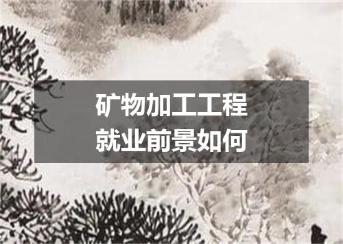 矿物加工工程就业前景如何