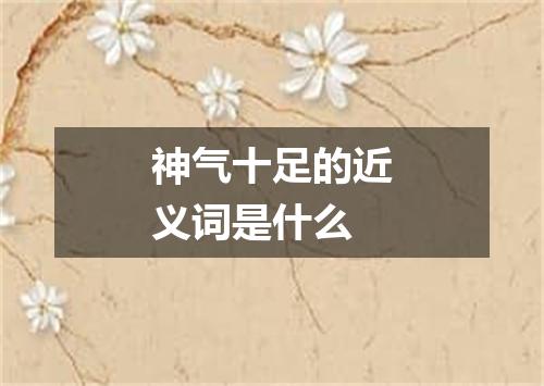 神气十足的近义词是什么