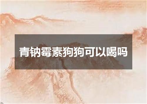 青钠霉素狗狗可以喝吗