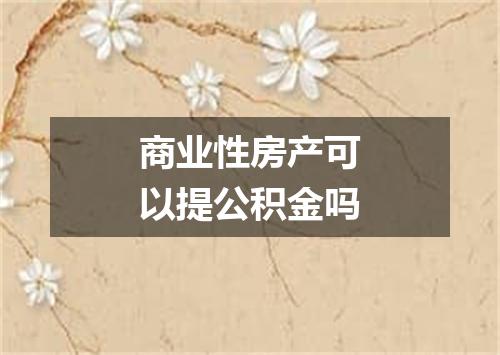 商业性房产可以提公积金吗