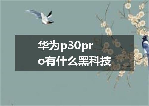 华为p30pro有什么黑科技