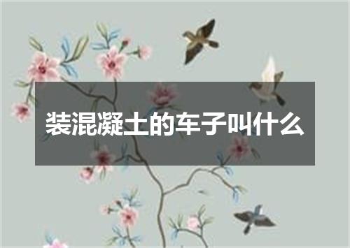 装混凝土的车子叫什么