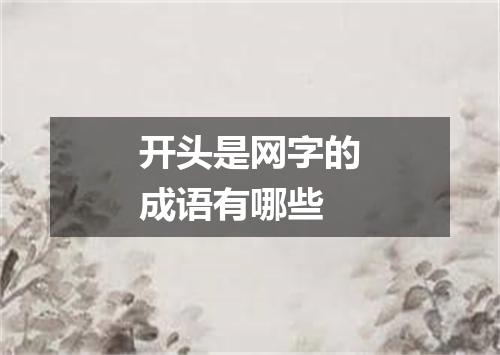 开头是网字的成语有哪些