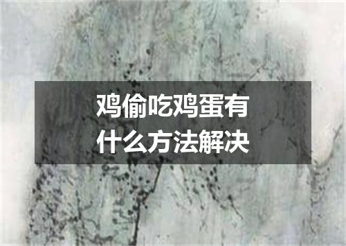 鸡偷吃鸡蛋有什么方法解决