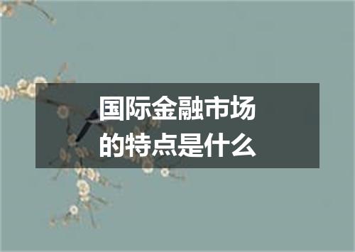 国际金融市场的特点是什么