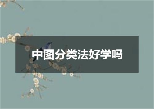中图分类法好学吗