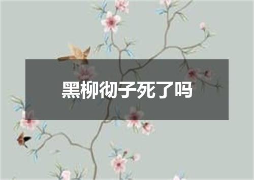 黑柳彻子死了吗