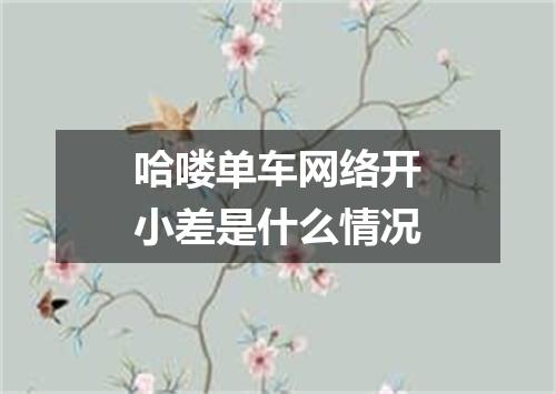 哈喽单车网络开小差是什么情况