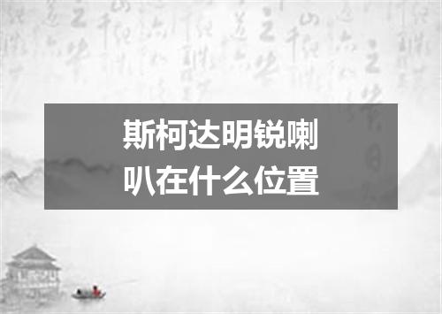 斯柯达明锐喇叭在什么位置