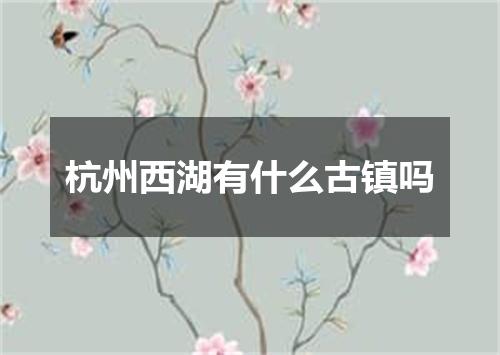 杭州西湖有什么古镇吗