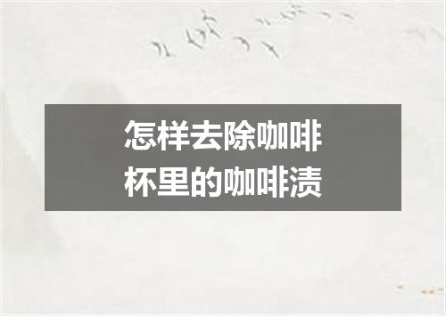 怎样去除咖啡杯里的咖啡渍