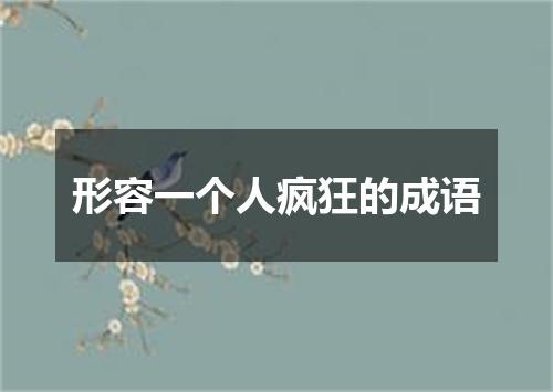 形容一个人疯狂的成语