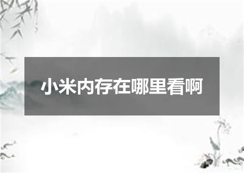 小米内存在哪里看啊