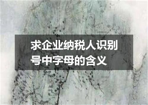 求企业纳税人识别号中字母的含义