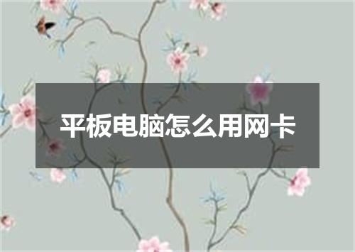 平板电脑怎么用网卡