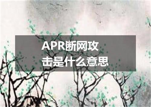 APR断网攻击是什么意思