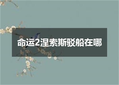 命运2涅索斯驳船在哪