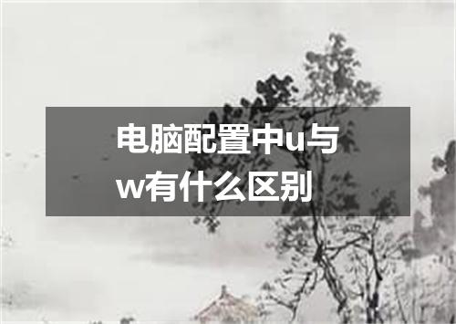电脑配置中u与w有什么区别