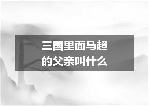 三国里面马超的父亲叫什么