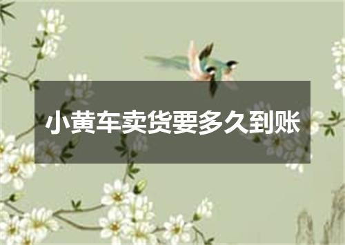 小黄车卖货要多久到账