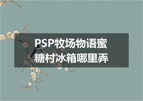 PSP牧场物语蜜糖村冰箱哪里弄