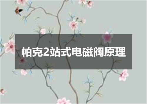 帕克2站式电磁阀原理