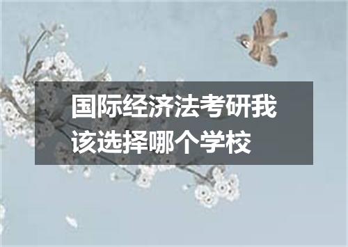 国际经济法考研我该选择哪个学校